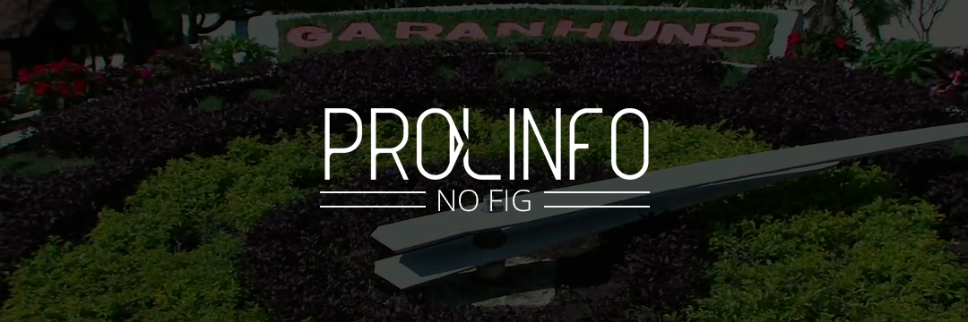 PROLINFO no FIG 2018